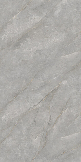 Basconi Home Bohemian Grey BHW-0014 Bohemian Grey 600x1200x8 full body polished (sinking ink)