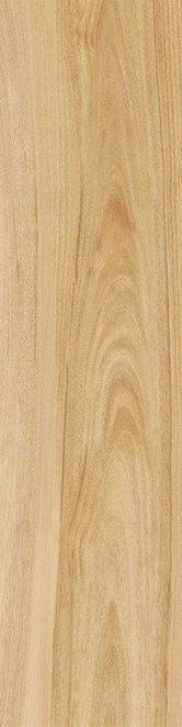 Italon Maison Champaign 30x120