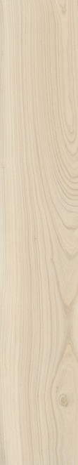 Italon Room Tree Beige 20x120 PET