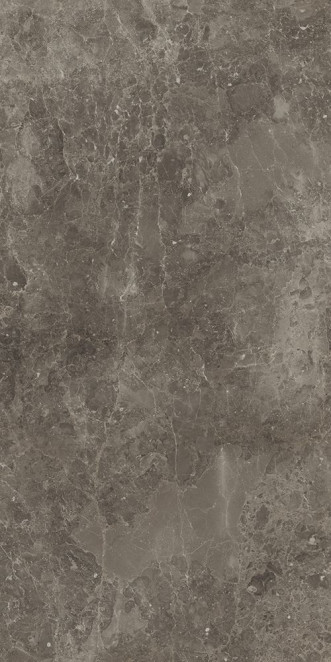 Italon Room Grey 60x120 PET