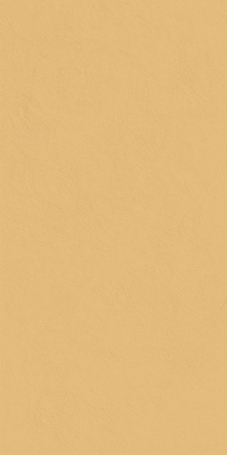 Italon Surface San 60x120 pat