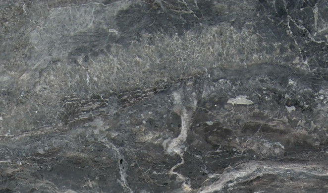 Venezia Stone Мрамор Arabescato Orobico New 20Mm