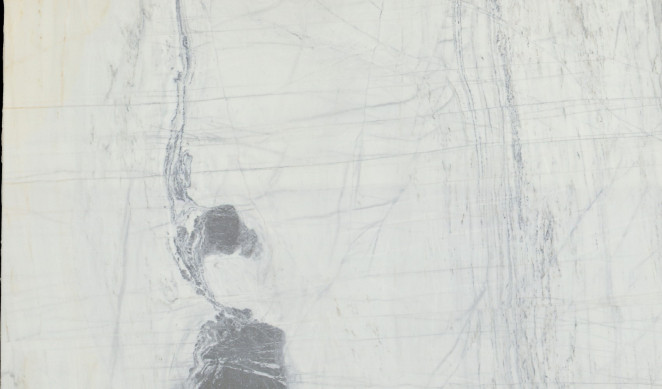 Venezia Stone Мрамор Arabescato Elegante 20Mm