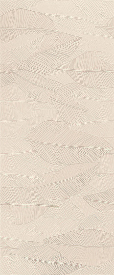 Atlas Concorde Aplomb Cream Leaf Lux 50x120