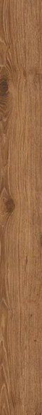 Atlas Concorde Russia Wine Oak Бордюр Brunello Listello 7,2x80 керамогранит матовый