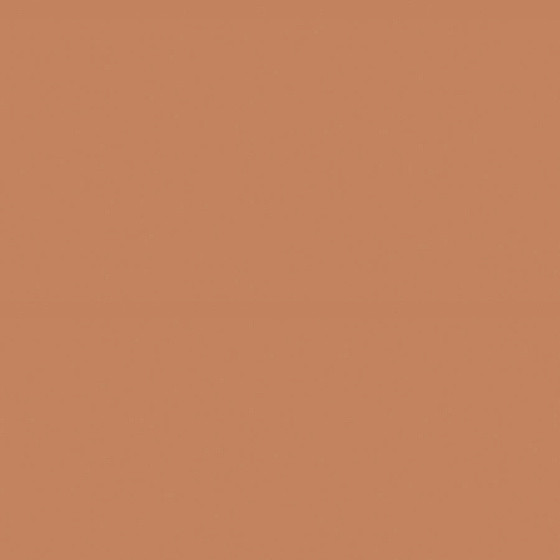 Fioranese Italian Landscape Terracotta 20,5х20,5