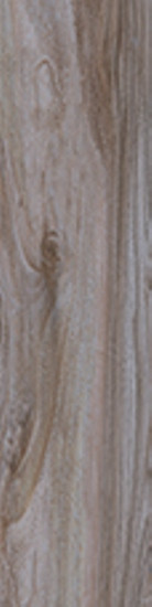 Cerdomus Savanna Sepia 20x100