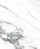 Basconi Home Bianco Gold BHW-0035 Bianco Gold 600x1200x10 full body polished (gold)