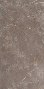 Fap Roma Stone Stone Pietra Brown Matt 80×160