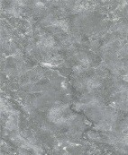 Basconi Home Max Stone BHW-0039 Max Stone 600x1200x8 full body soft polished (gold)