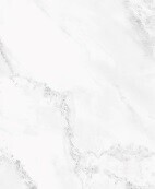 Basconi Home White Marble BHW-0040 White Marble 600x1200x8 full body soft polished (gold)