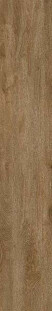 Gravita Driftwood OCRE MATT 20x120