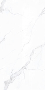 Basconi Home Carrara BHW-0003 Carrara 600x1200x8 full body polished (sinking ink)