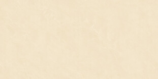 Basconi Home Cateye Beige BHW-0004 Cateye Beige 600x1200x10 grains soft-polished mould