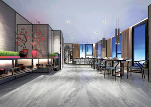 Basconi Home Slate Grey BHW-0007 Slate Grey 600x1200x10 grains semi-polished