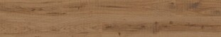 Buono Ceramica Forest Forest Nature Roble Matt 60*120