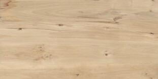 Buono Ceramica Forest Forest Sweet Home Matt 60*120