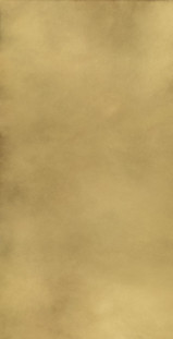 Italon Continuum Brass Gold 80X160 SHL