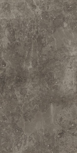 Italon Room Grey 60x120 PET