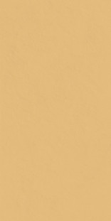 Italon Surface San 60x120 pat