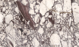 Venezia Stone Мрамор Calacatta Viola Honed 20Mm