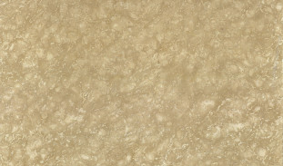 Venezia Stone Мрамор Shells Reef Beige Leather 20Mm