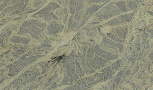 Venezia Stone Гранит Ivory Fantasy 20Mm