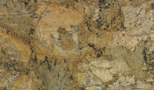 Venezia Stone Гранит Golden Bahamas 20Mm
