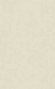 Casalgrande Padana Architecture Light Ivory Antibacterial 45x90