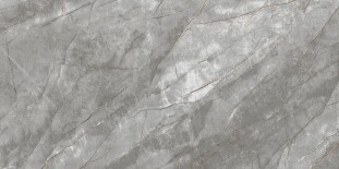 Primavera Vezin Grey  PR237 Vezin Grey Polished 60x120 см