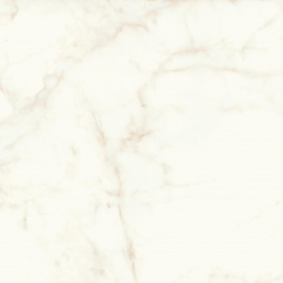 Atlas Concorde Marvel Shine Marvel Calacatta Delicato 120x120 Matt