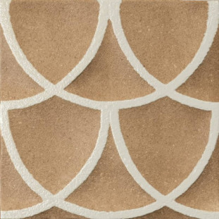 Marca Corona Terracreta J080 Forma Vitrea Chamotte 20х20