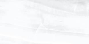 AltaCera Atlantic WT9ATA15 Light 250х500*9