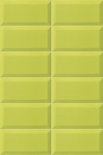 Mainzu Plus Bissel Y Green 10x20