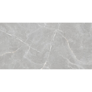 Staro Velvet Patricia Grey Matt 60x120