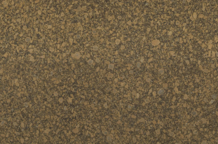 Venezia Stone EXTRA Гранит Giallo Fiorito Слэбы 304x189
