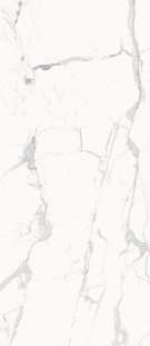 Italon Stellaris Statuario White 120x278