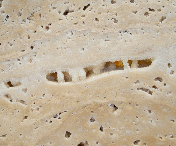 Venezia Stone НЕЗАПОЛНЕННЫЙ Травертин Travertine White Незаполненный 20Mm